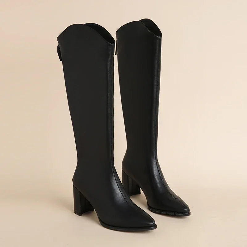 Knee high boots for women | High shaft block heel