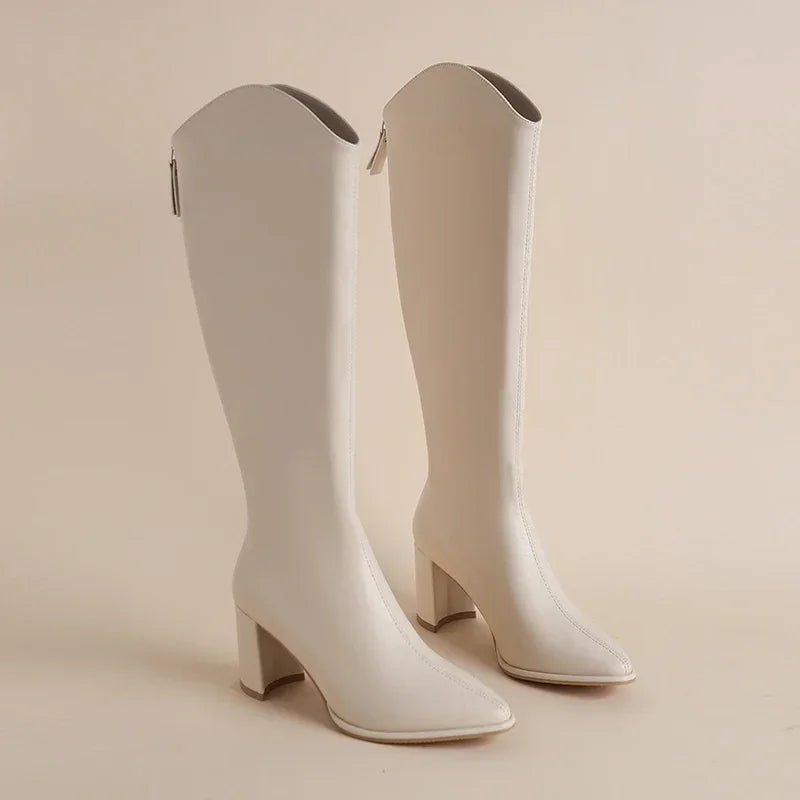 Knee high boots for women | High shaft block heel